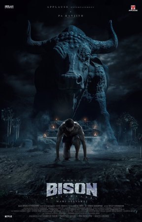 Bison