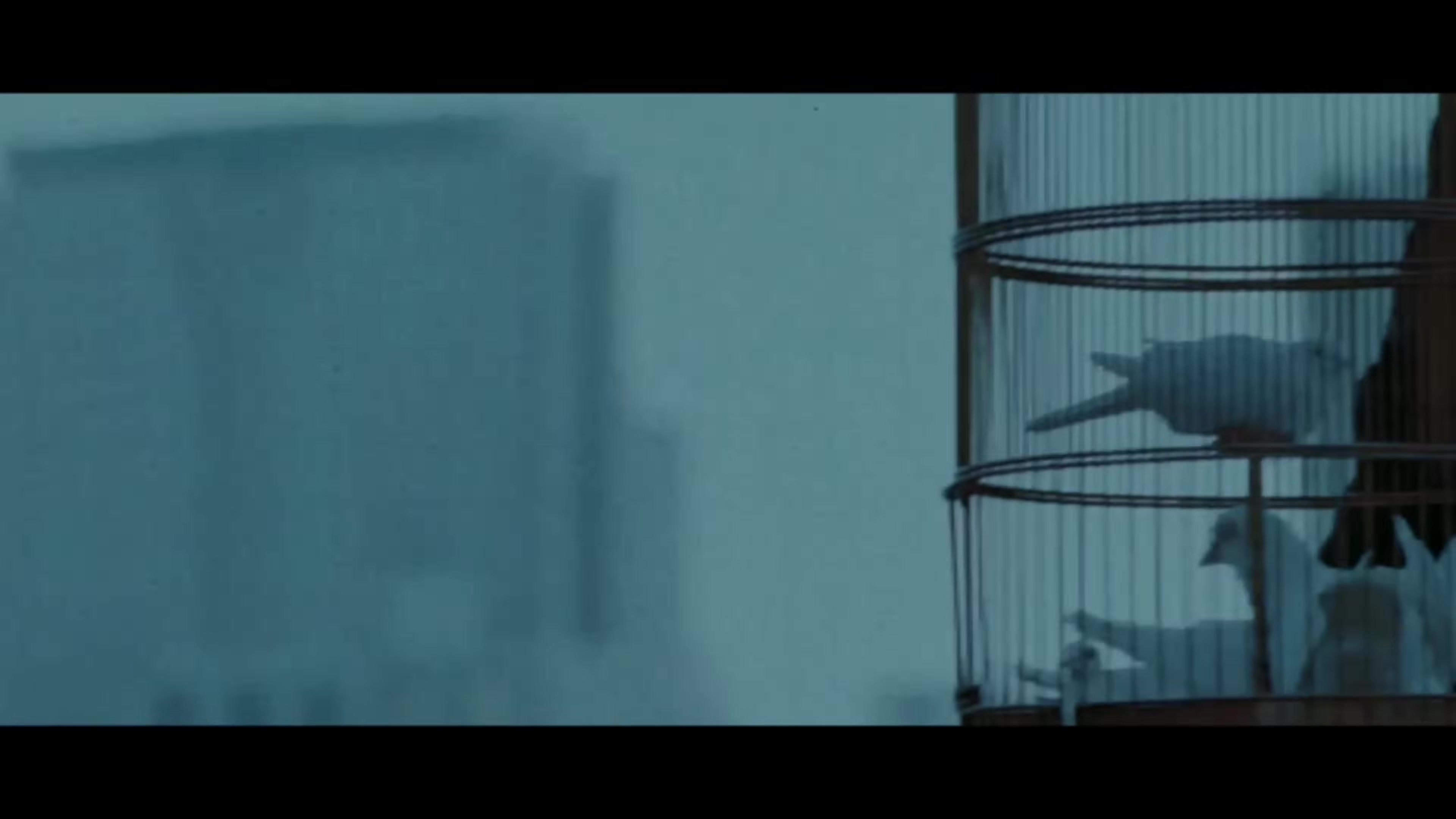 Awarapan (2007) trailer