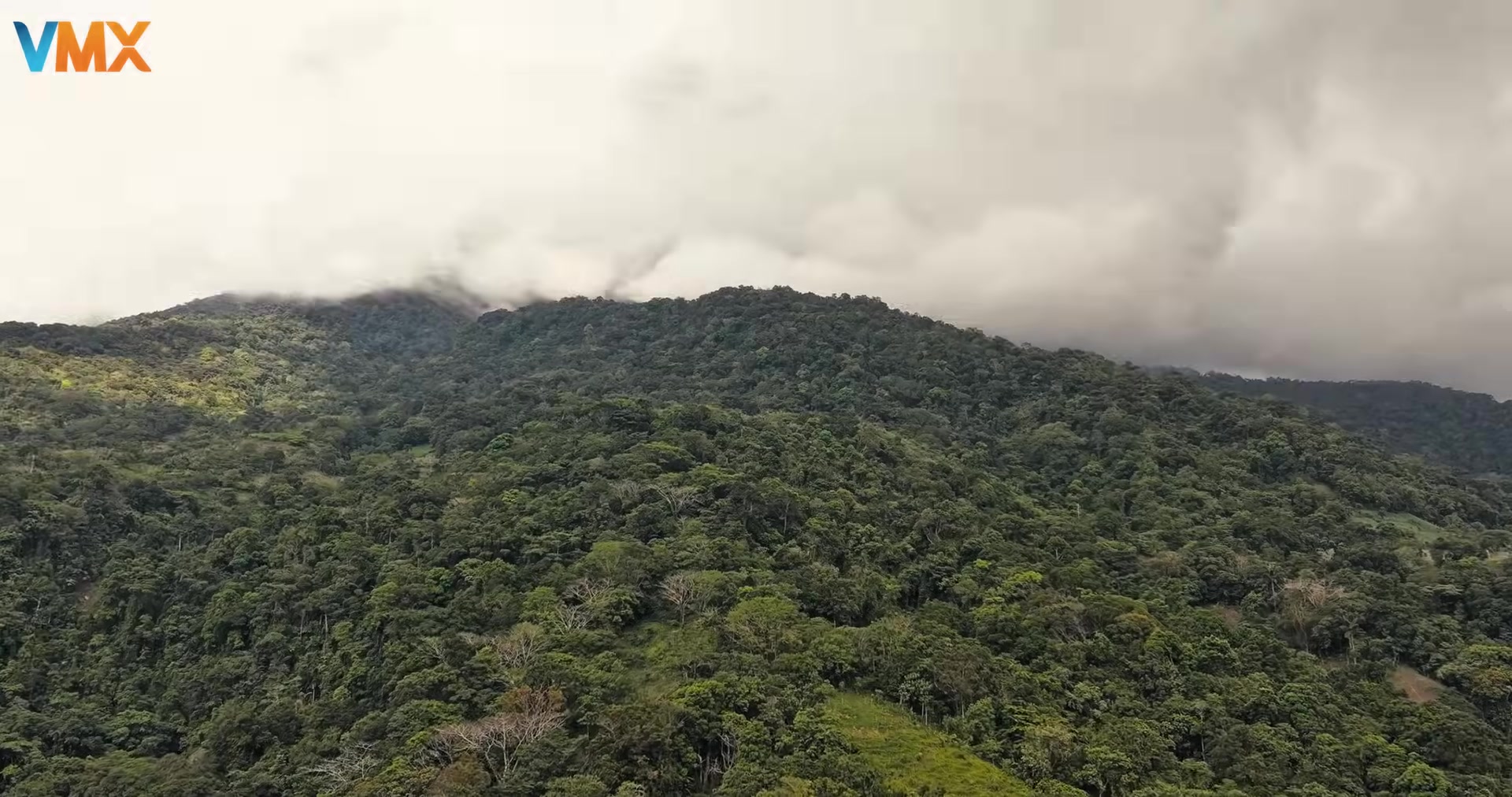 LIGAW Official Trailer