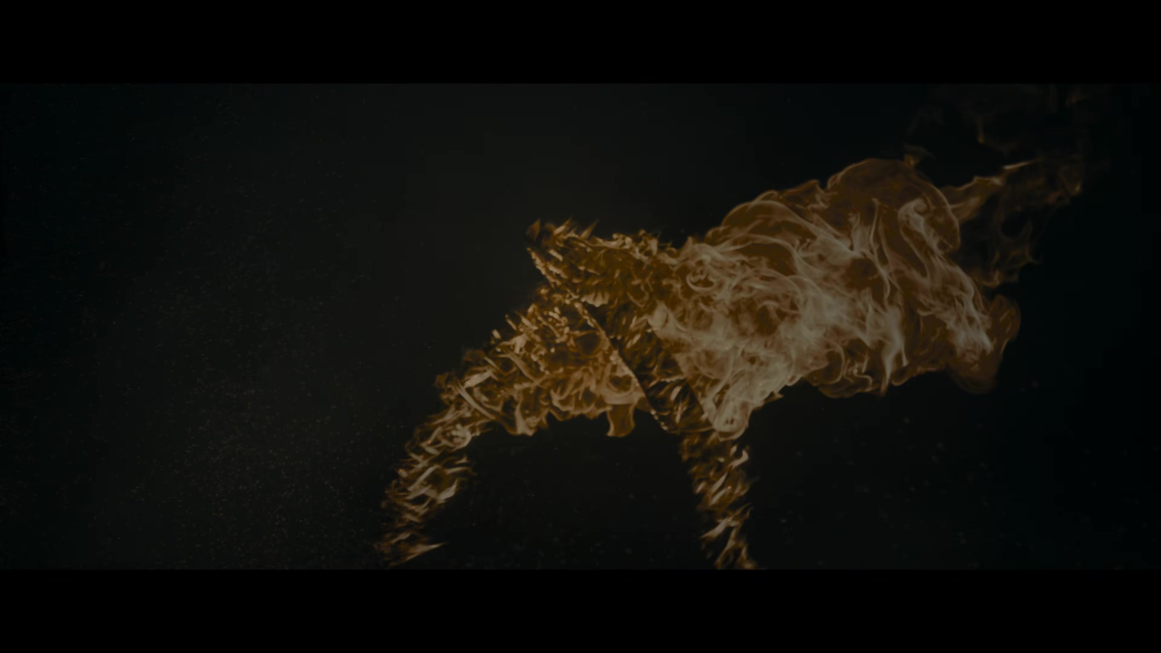 Rowdy Janardhana Trailer